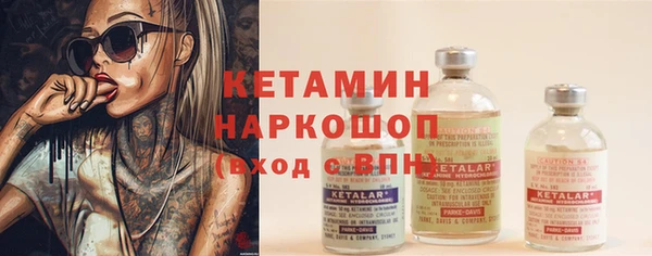 сатива Беломорск