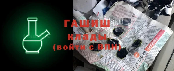 индика Богданович