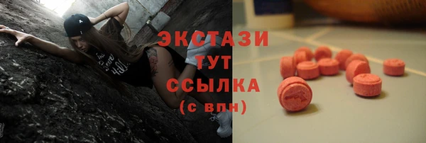 индика Богданович