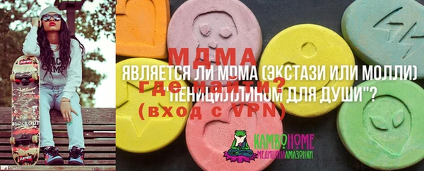 сатива Беломорск