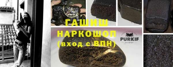 индика Богданович