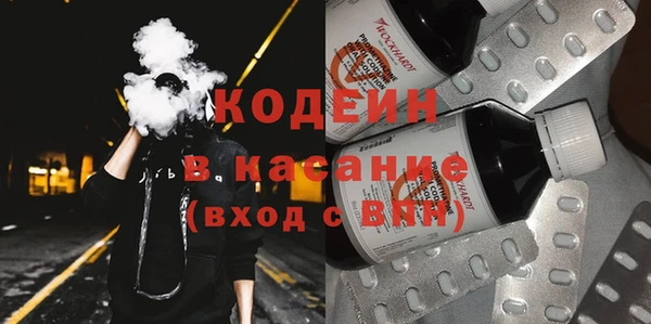 индика Богданович