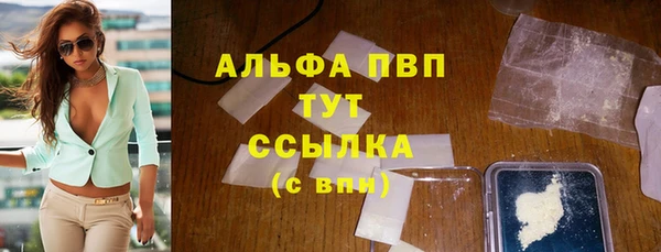 сатива Беломорск